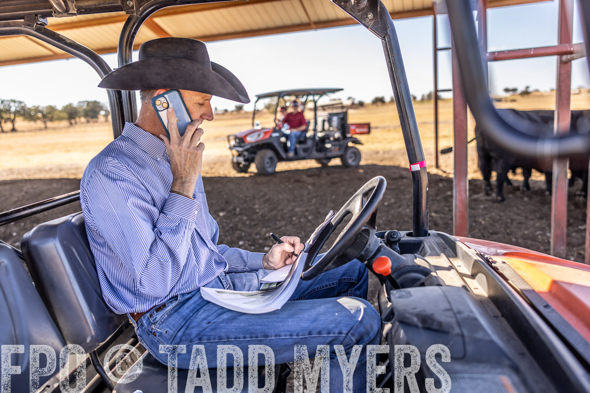 TMyers_FallBullSale_CameronTX_Oct_2024-519913