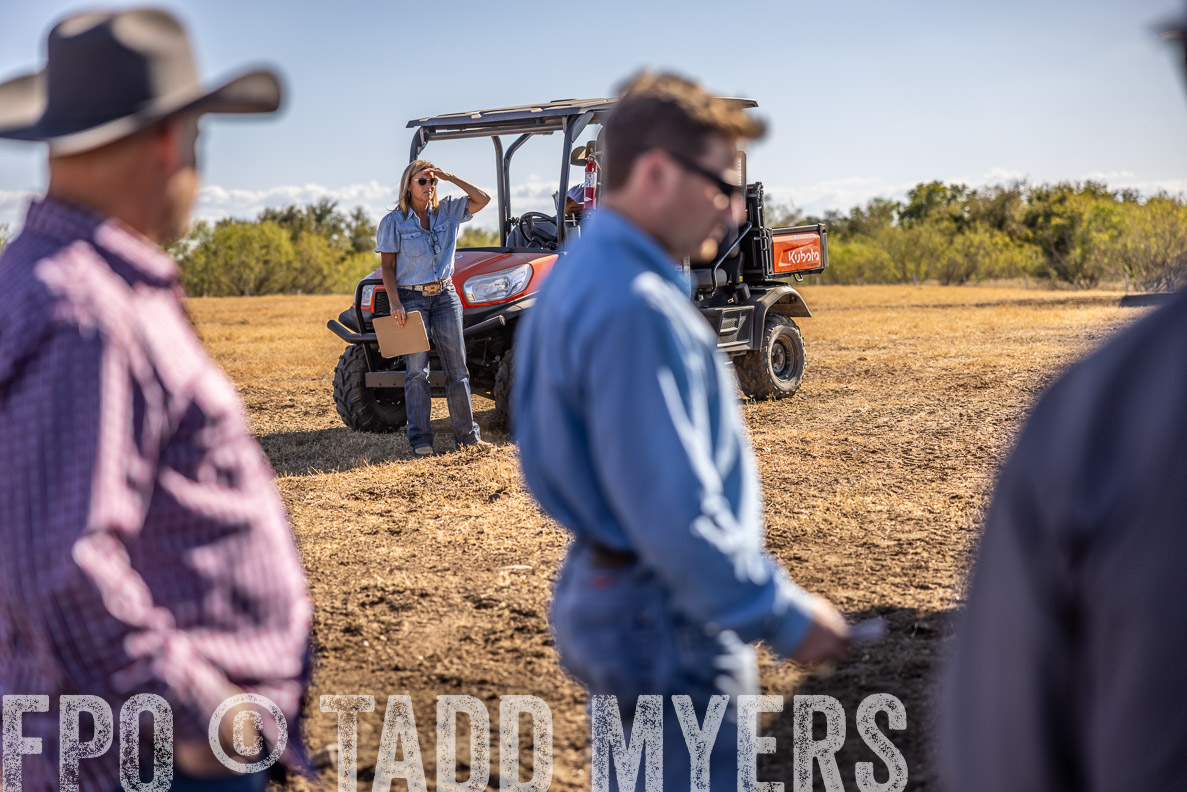 TMyers_FallBullSale_CameronTX_Oct_2024-519974