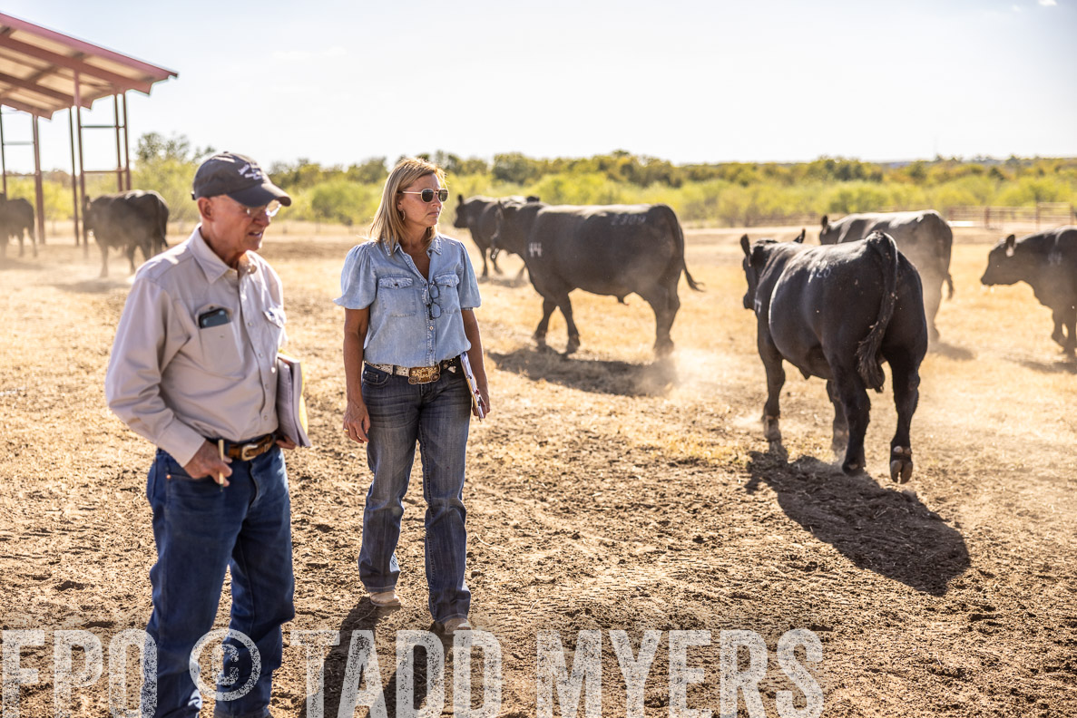 TMyers_FallBullSale_CameronTX_Oct_2024-519988