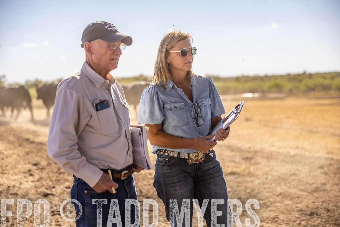 TMyers_FallBullSale_CameronTX_Oct_2024-519996