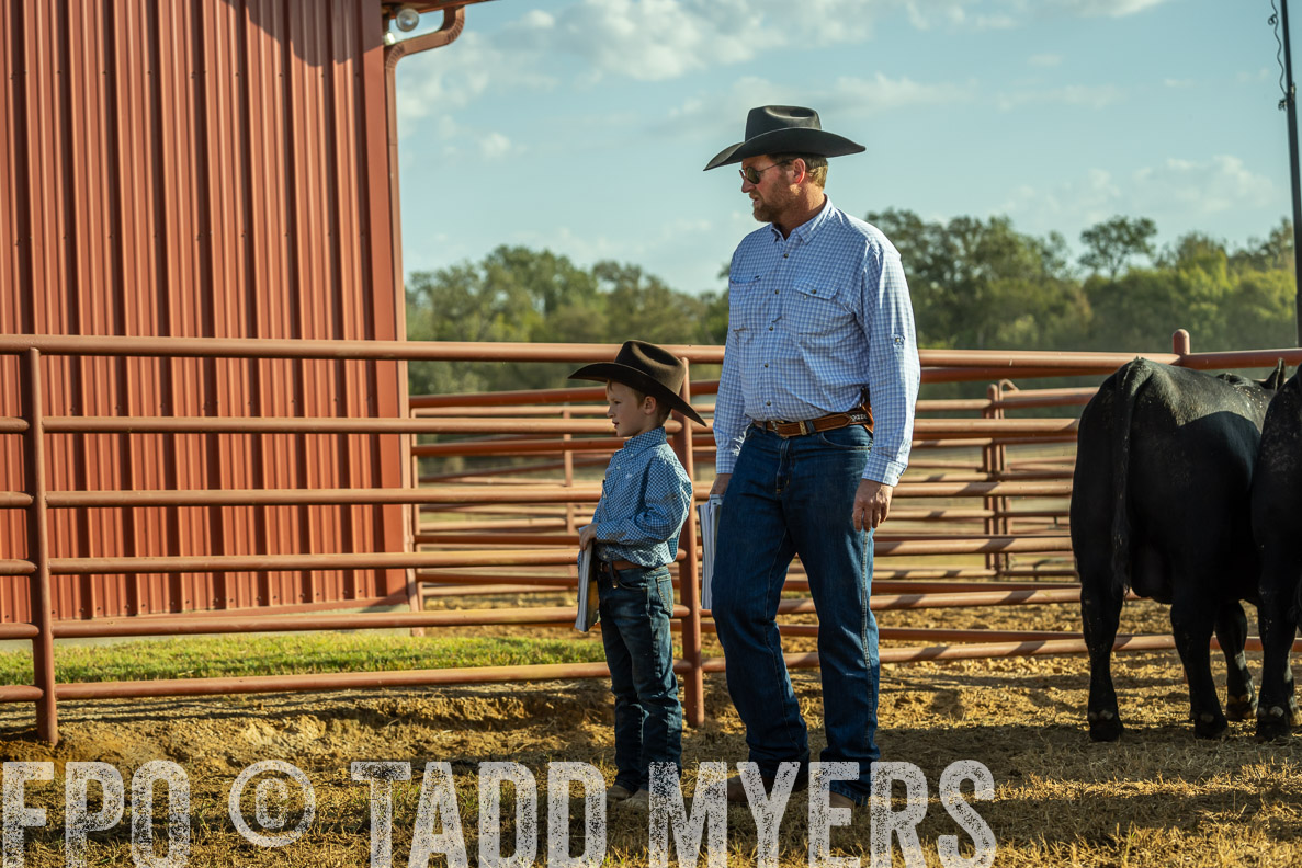 TMyers_FallBullSale_CameronTX_Oct_2024-523268
