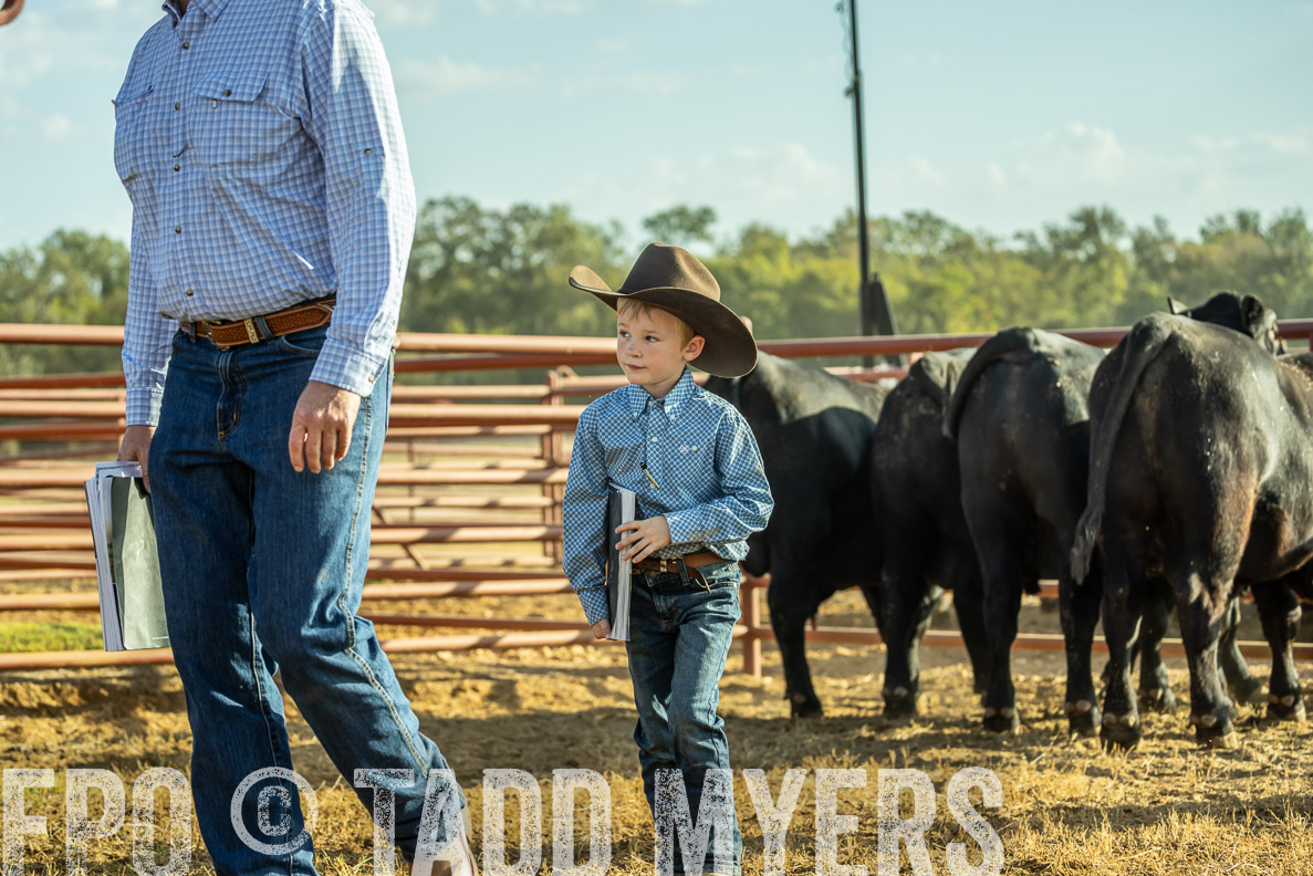 TMyers_FallBullSale_CameronTX_Oct_2024-523275