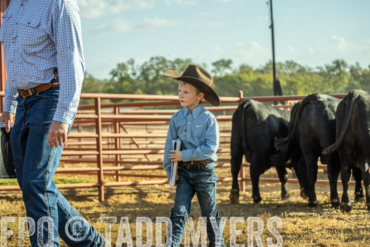 TMyers_FallBullSale_CameronTX_Oct_2024-523277
