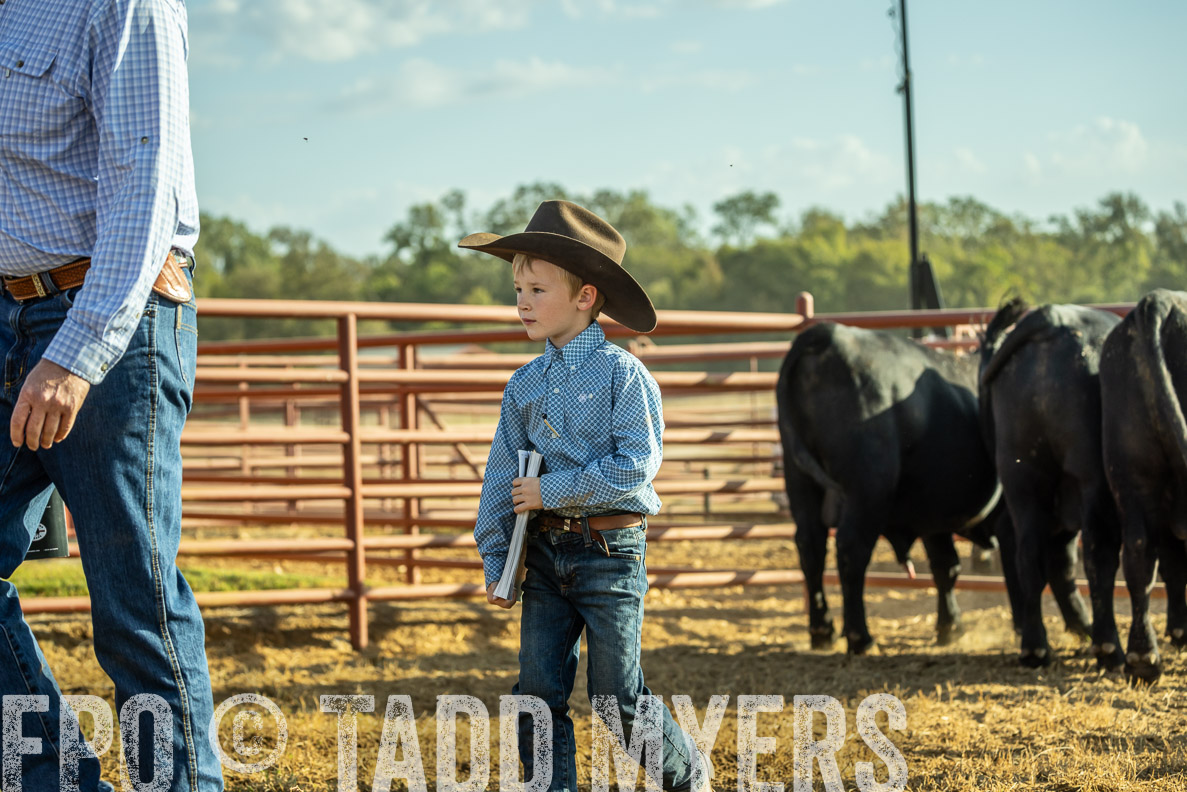 TMyers_FallBullSale_CameronTX_Oct_2024-523280