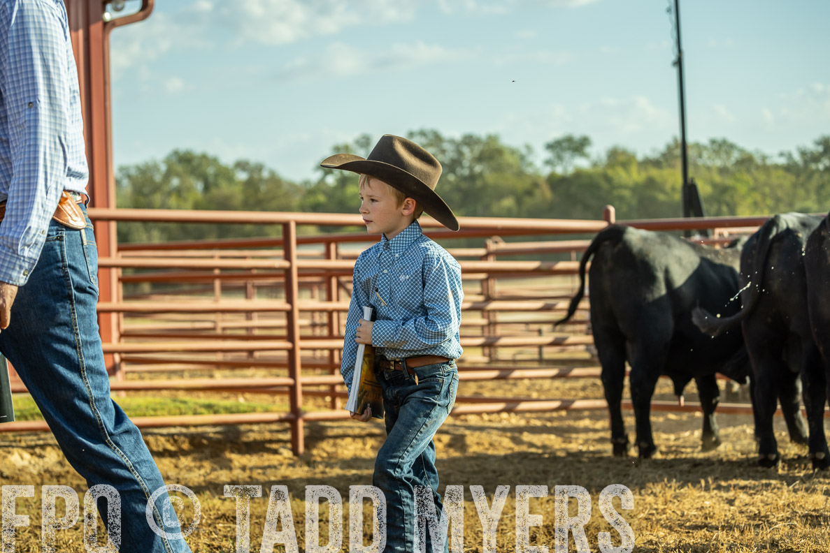 TMyers_FallBullSale_CameronTX_Oct_2024-523283