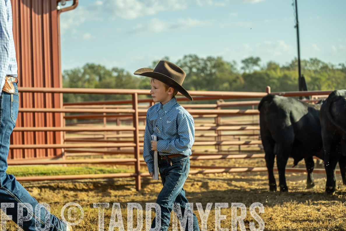 TMyers_FallBullSale_CameronTX_Oct_2024-523285