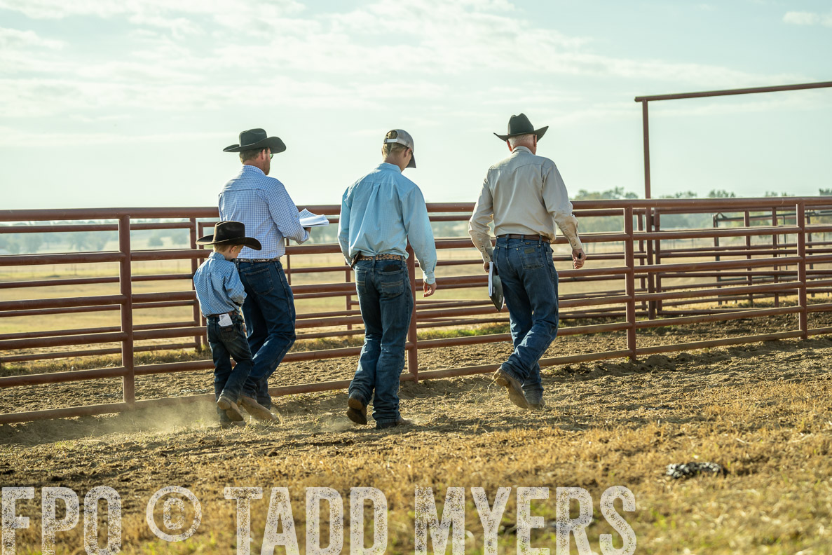 TMyers_FallBullSale_CameronTX_Oct_2024-523298