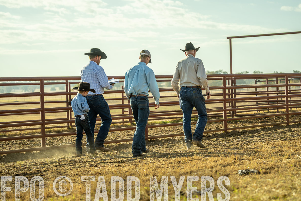 TMyers_FallBullSale_CameronTX_Oct_2024-523300