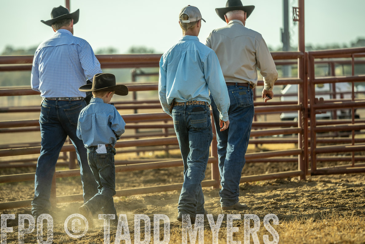 TMyers_FallBullSale_CameronTX_Oct_2024-523310