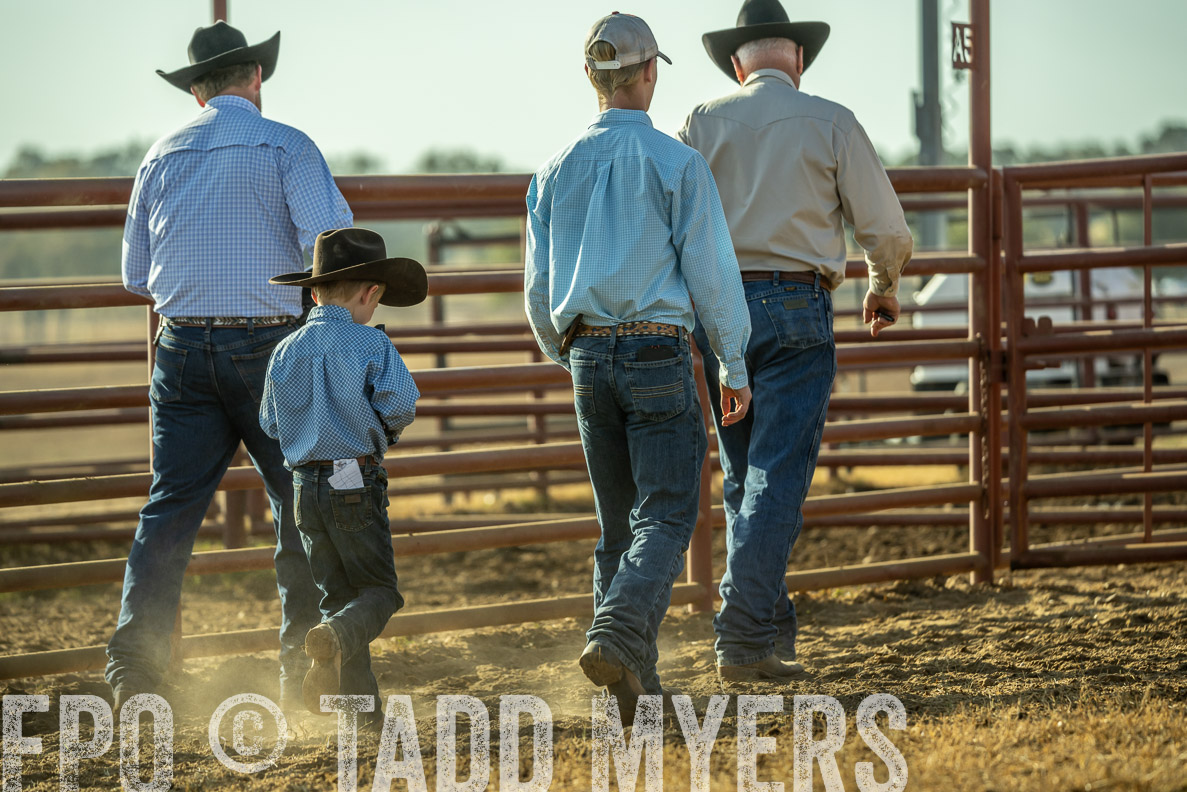 TMyers_FallBullSale_CameronTX_Oct_2024-523311