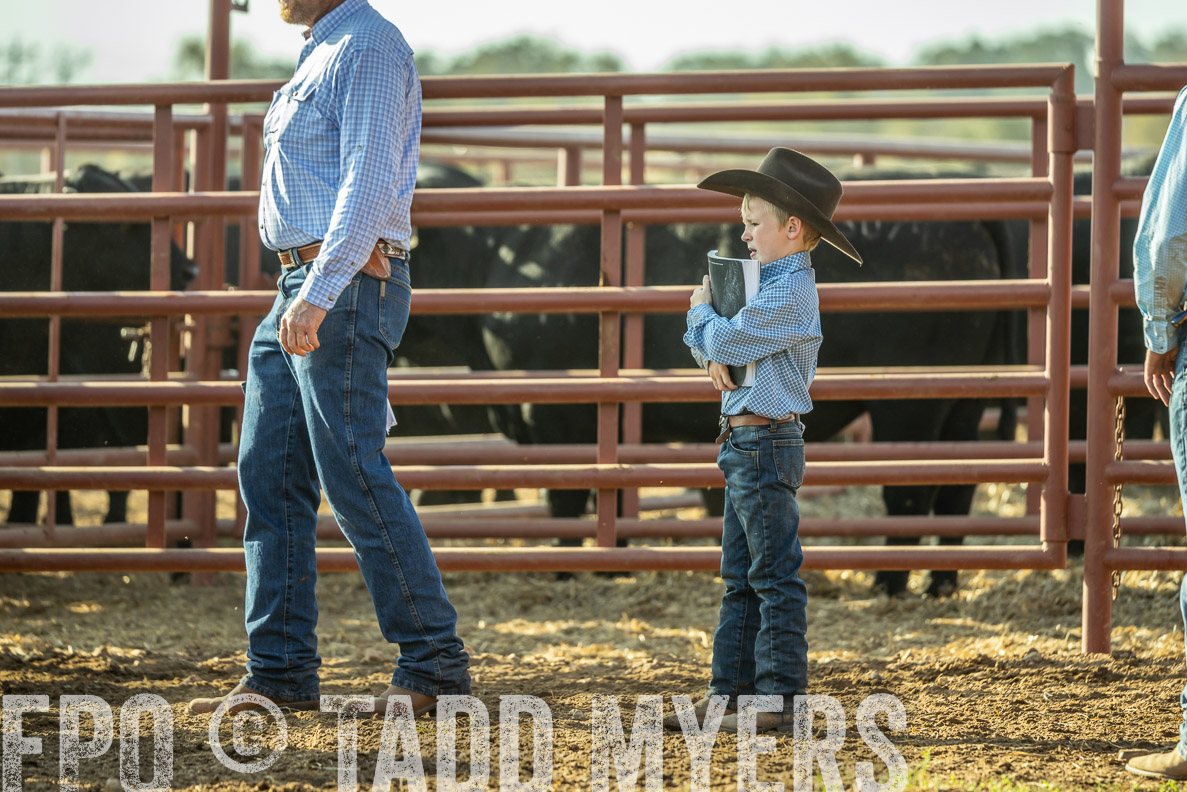 TMyers_FallBullSale_CameronTX_Oct_2024-523340