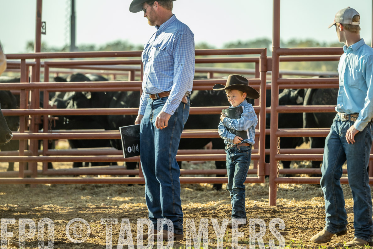 TMyers_FallBullSale_CameronTX_Oct_2024-523356
