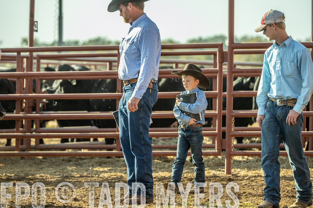 TMyers_FallBullSale_CameronTX_Oct_2024-523358