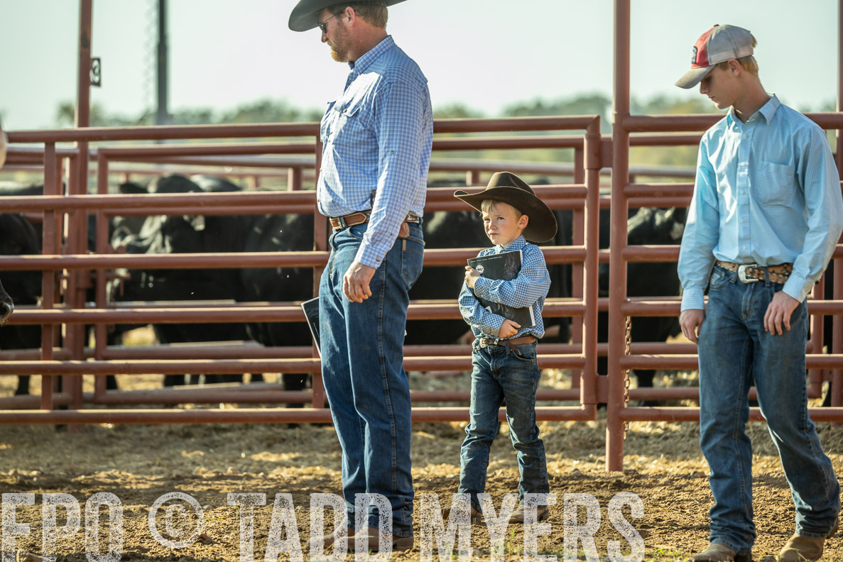 TMyers_FallBullSale_CameronTX_Oct_2024-523359