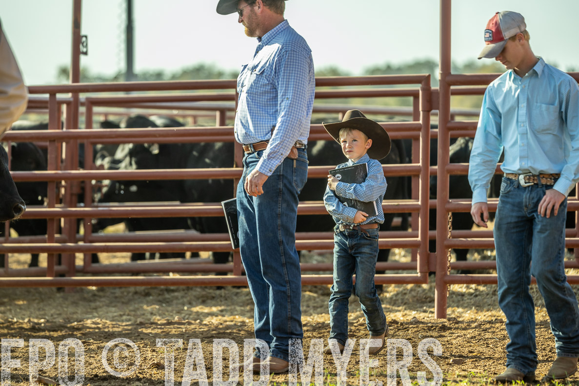 TMyers_FallBullSale_CameronTX_Oct_2024-523361