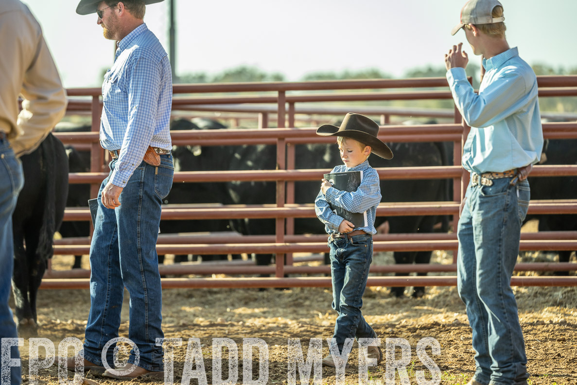 TMyers_FallBullSale_CameronTX_Oct_2024-523364