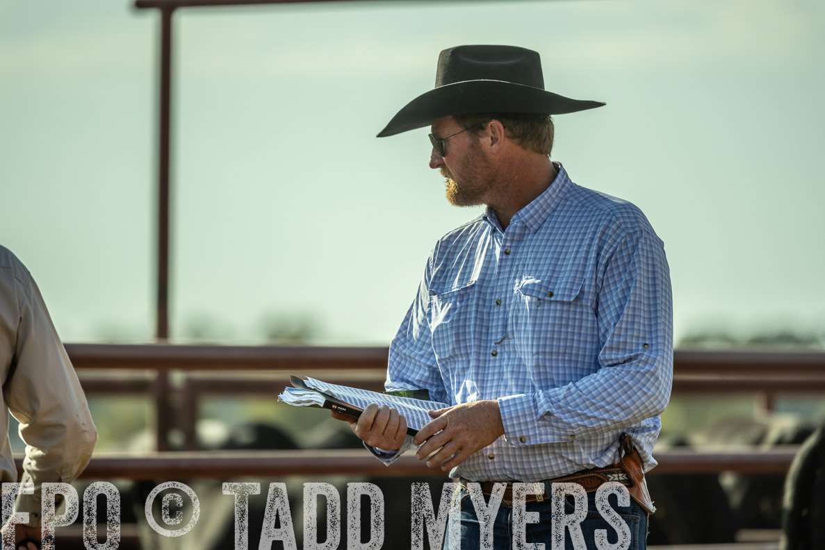 TMyers_FallBullSale_CameronTX_Oct_2024-523392