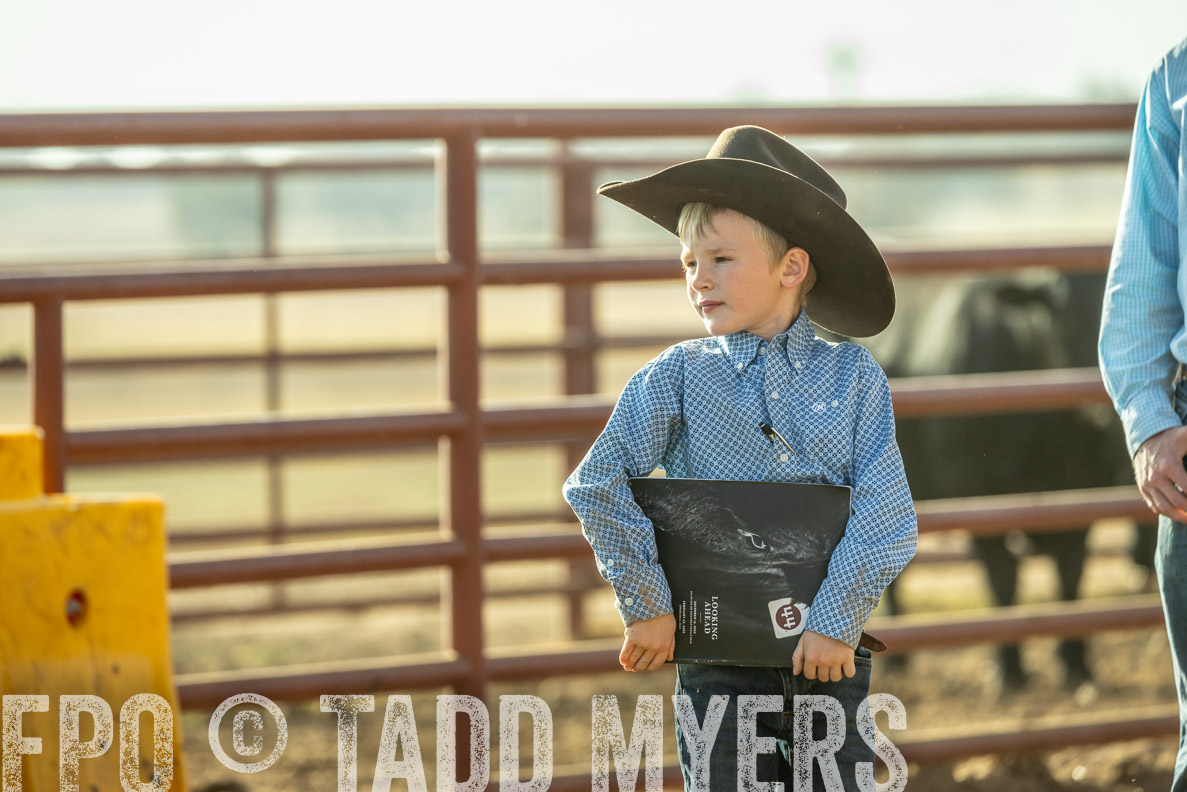 TMyers_FallBullSale_CameronTX_Oct_2024-523409