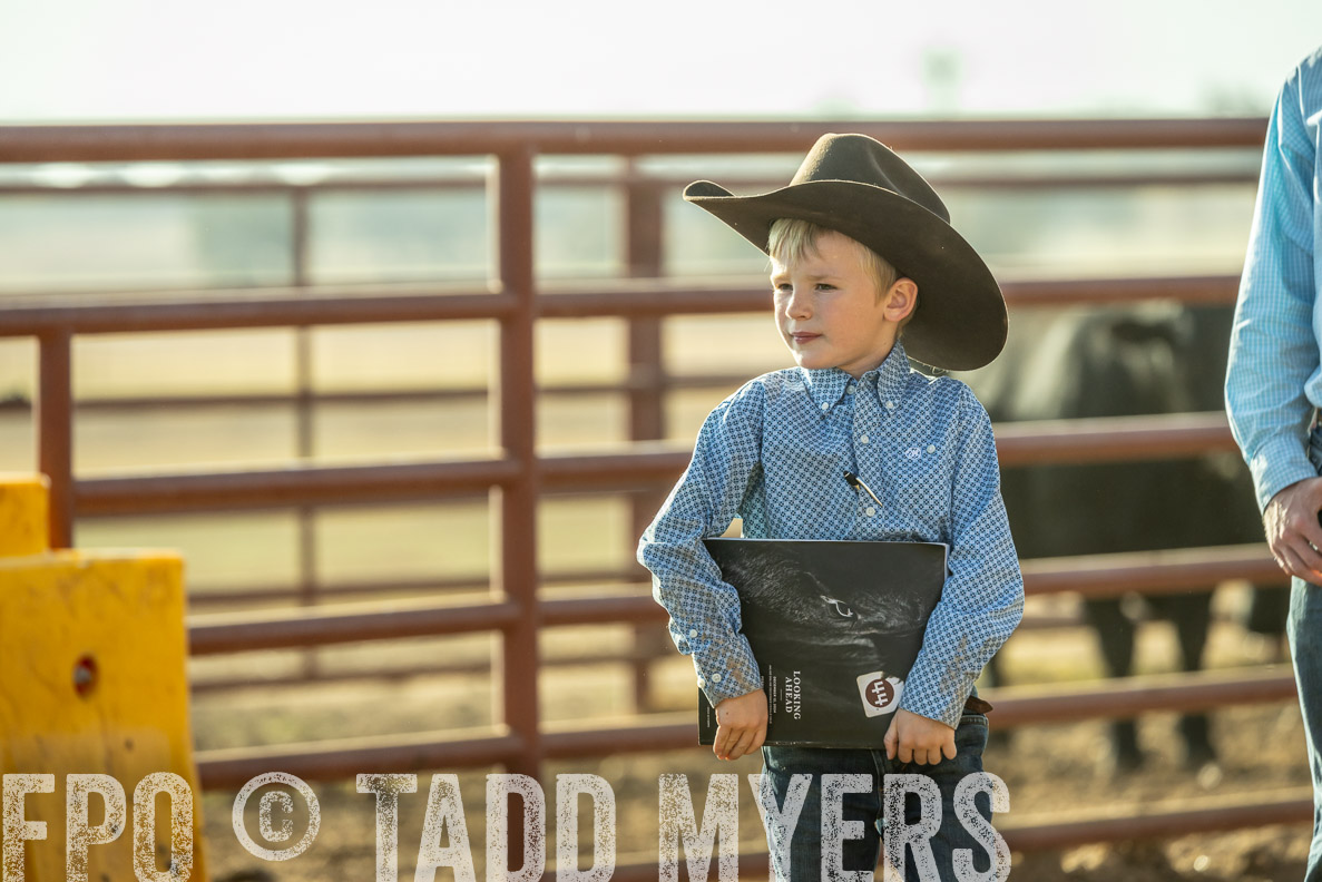 TMyers_FallBullSale_CameronTX_Oct_2024-523411