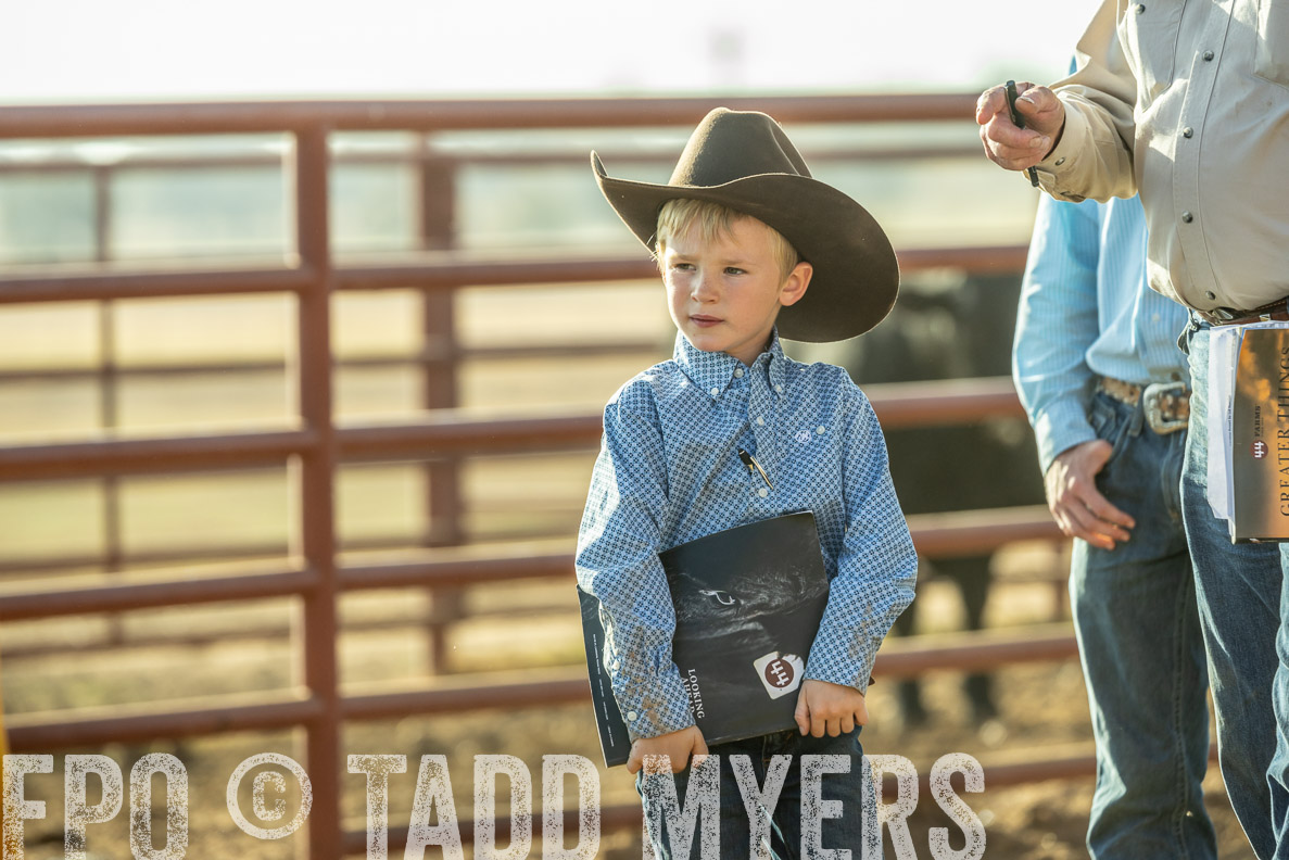 TMyers_FallBullSale_CameronTX_Oct_2024-523412
