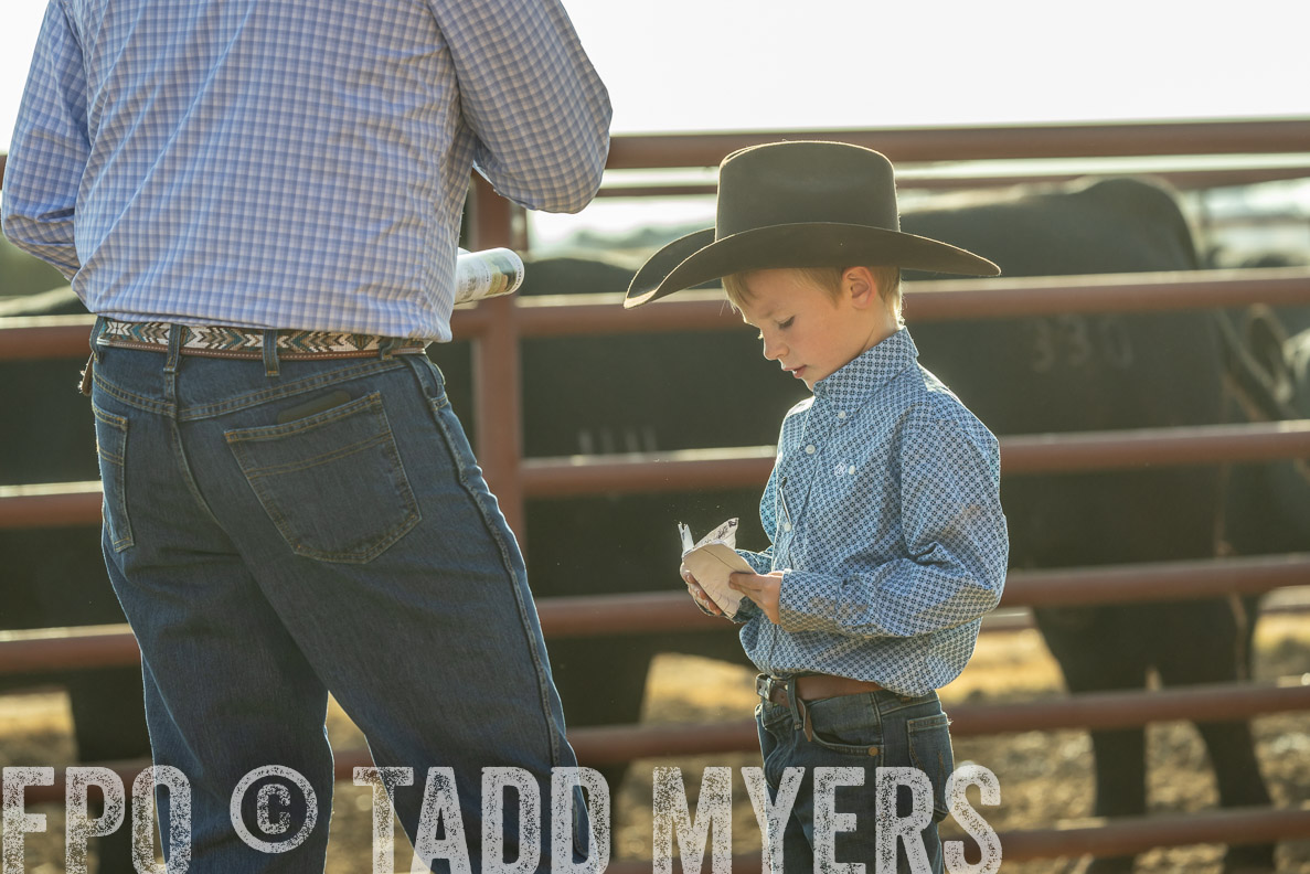 TMyers_FallBullSale_CameronTX_Oct_2024-523481