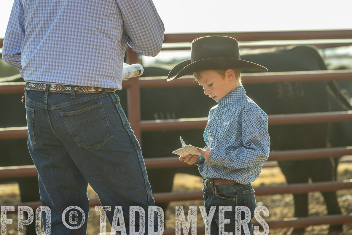 TMyers_FallBullSale_CameronTX_Oct_2024-523484