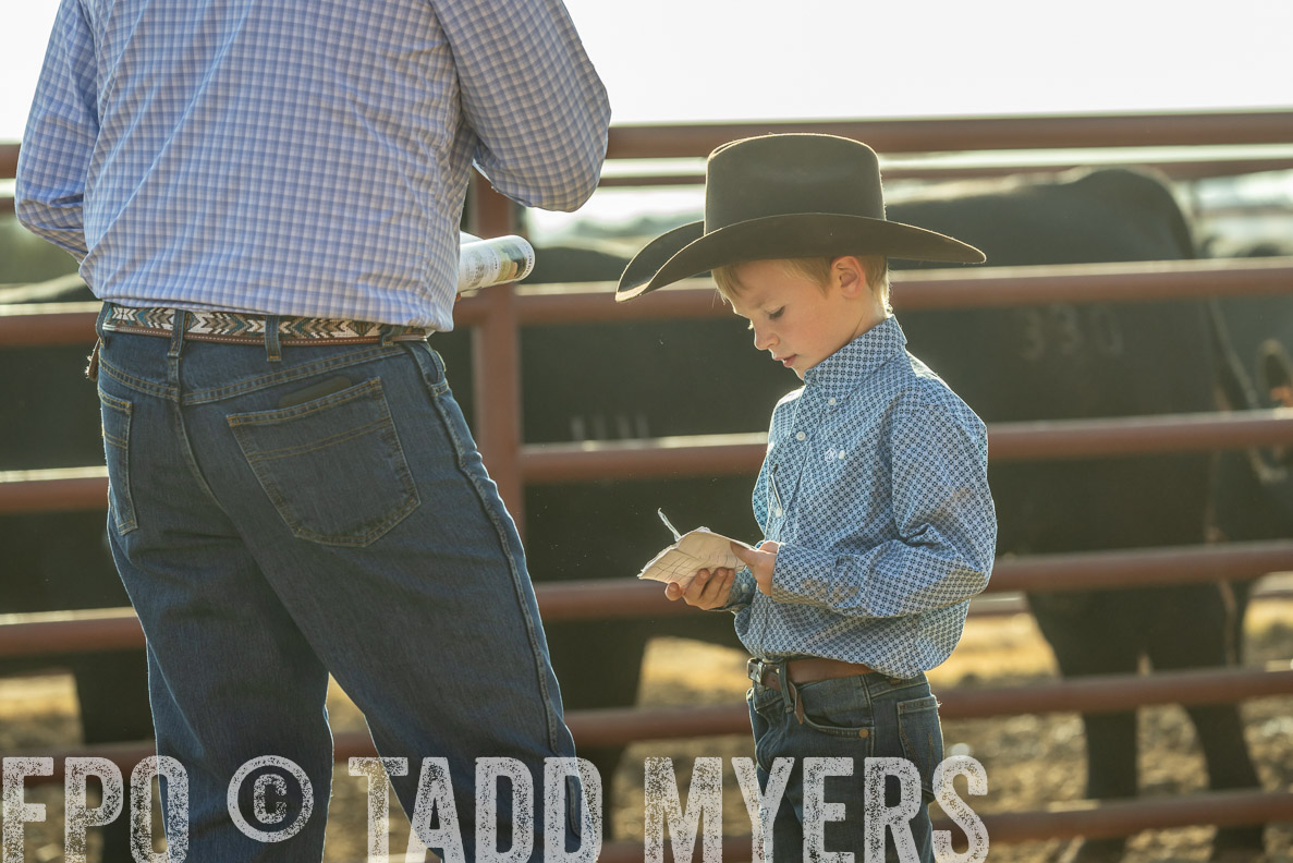 TMyers_FallBullSale_CameronTX_Oct_2024-523485