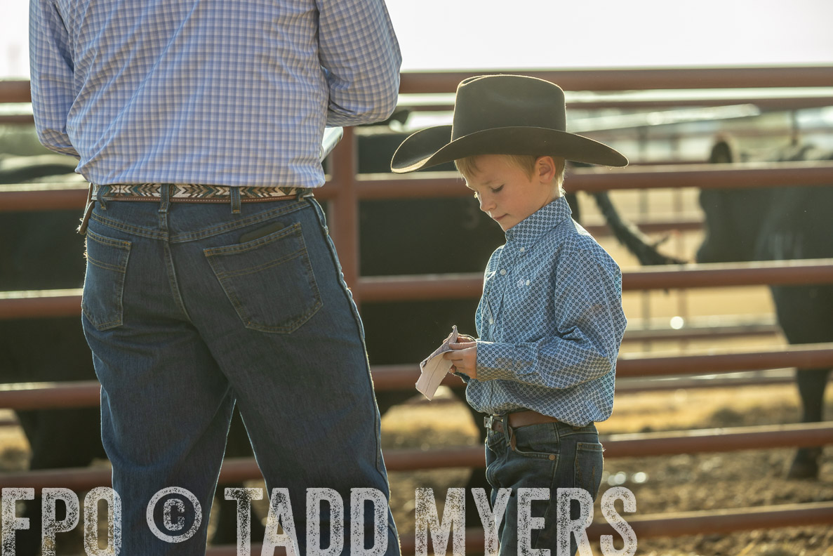 TMyers_FallBullSale_CameronTX_Oct_2024-523501