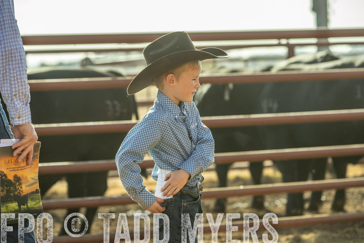 TMyers_FallBullSale_CameronTX_Oct_2024-523542