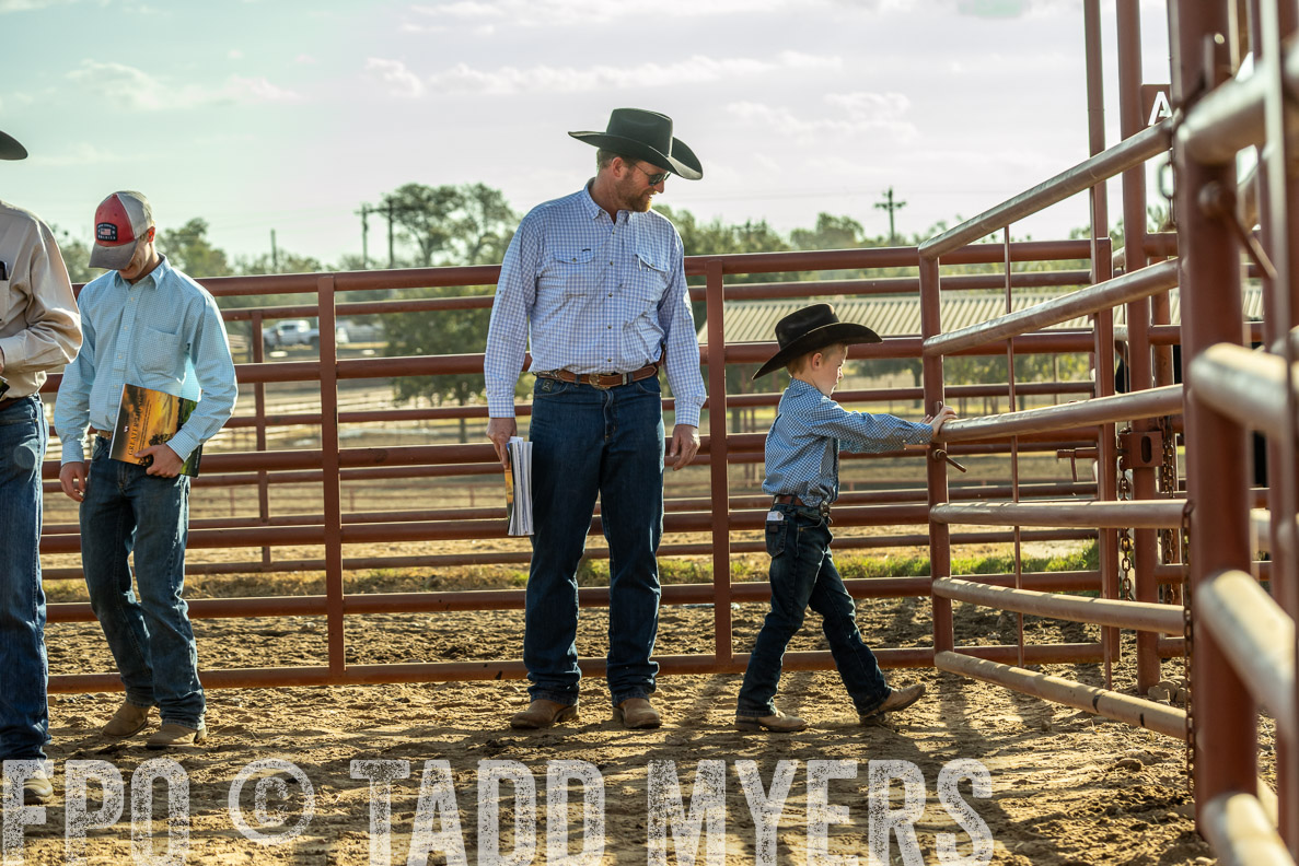 TMyers_FallBullSale_CameronTX_Oct_2024-523584