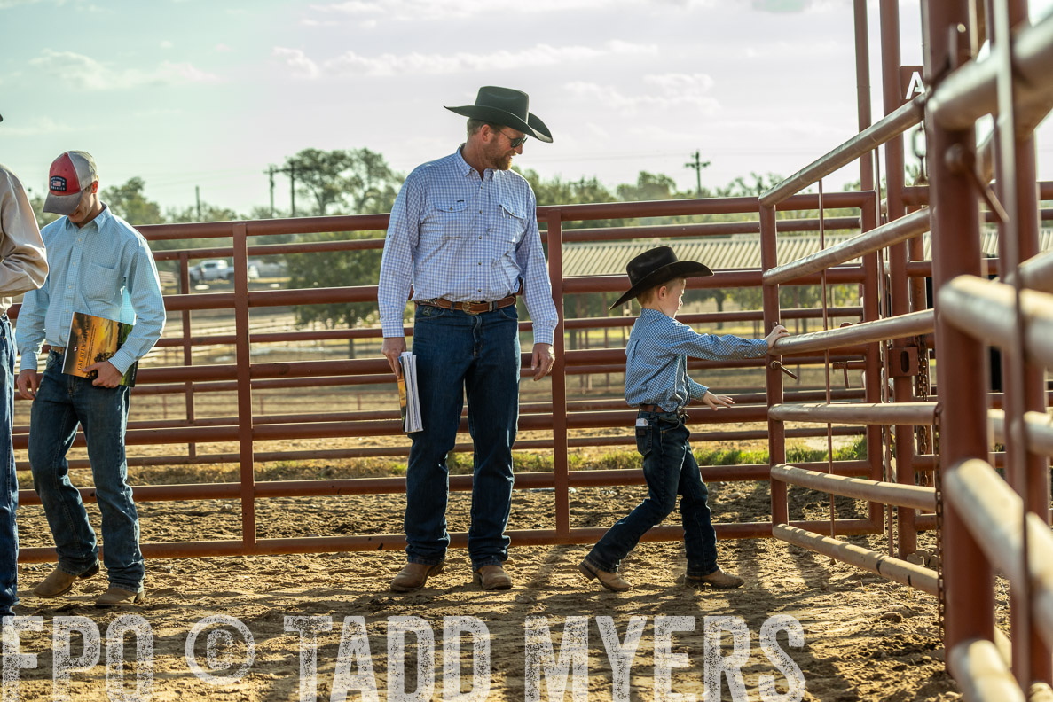 TMyers_FallBullSale_CameronTX_Oct_2024-523586