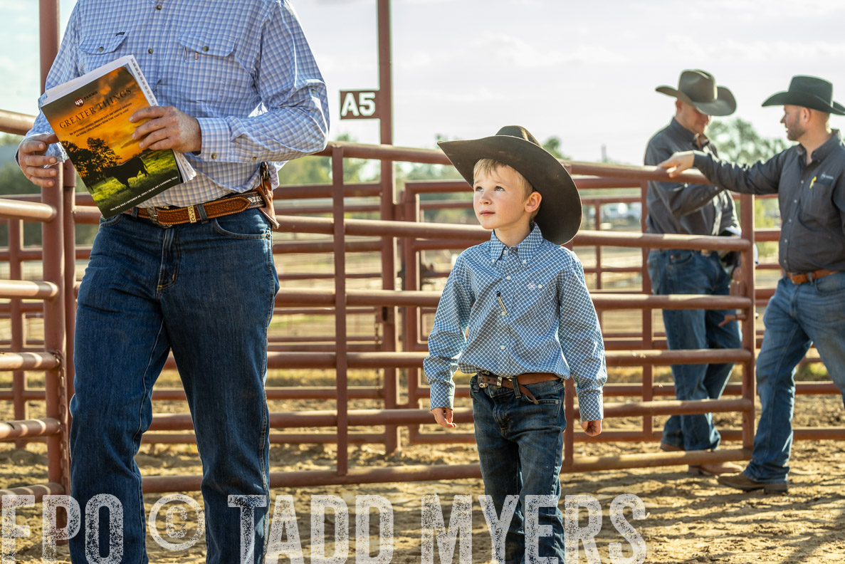 TMyers_FallBullSale_CameronTX_Oct_2024-523647