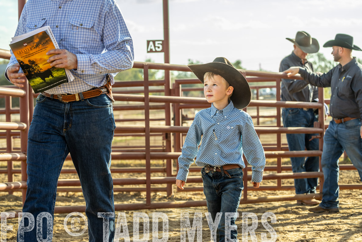 TMyers_FallBullSale_CameronTX_Oct_2024-523648