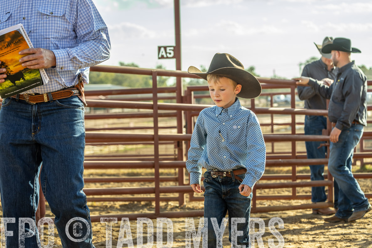 TMyers_FallBullSale_CameronTX_Oct_2024-523652