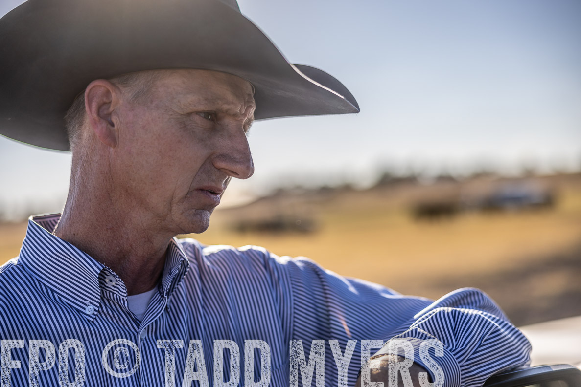 TMyers_FallBullSale_CameronTX_Oct_2024-510321