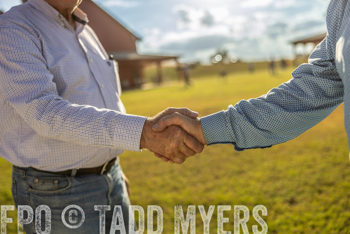 TMyers_FallBullSale_CameronTX_Oct_2024-512962