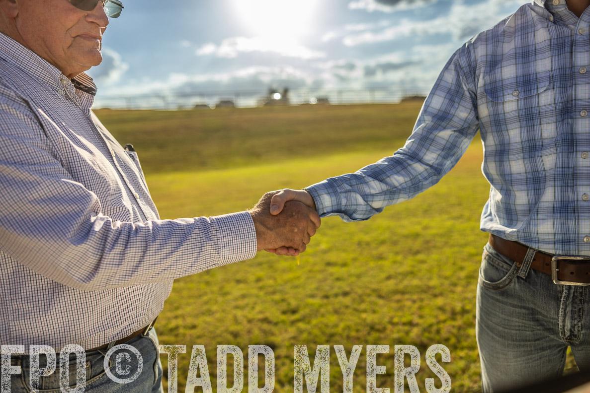 TMyers_FallBullSale_CameronTX_Oct_2024-513152