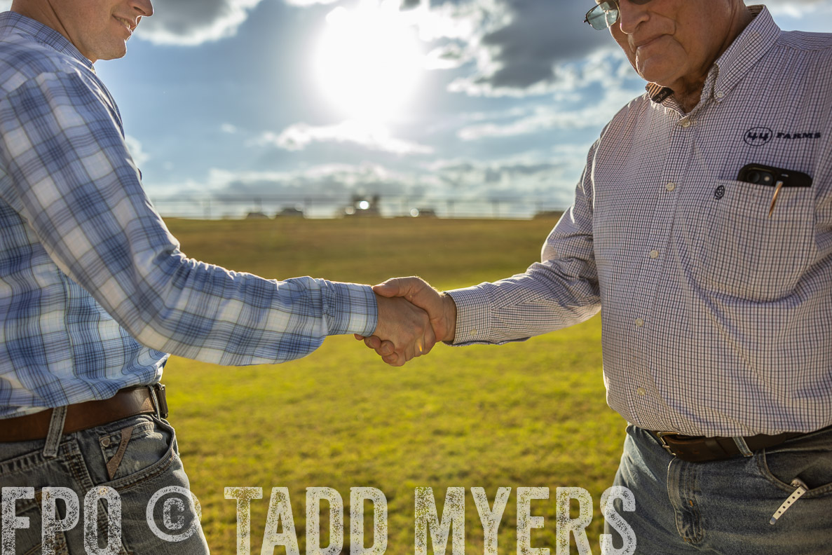 TMyers_FallBullSale_CameronTX_Oct_2024-513212