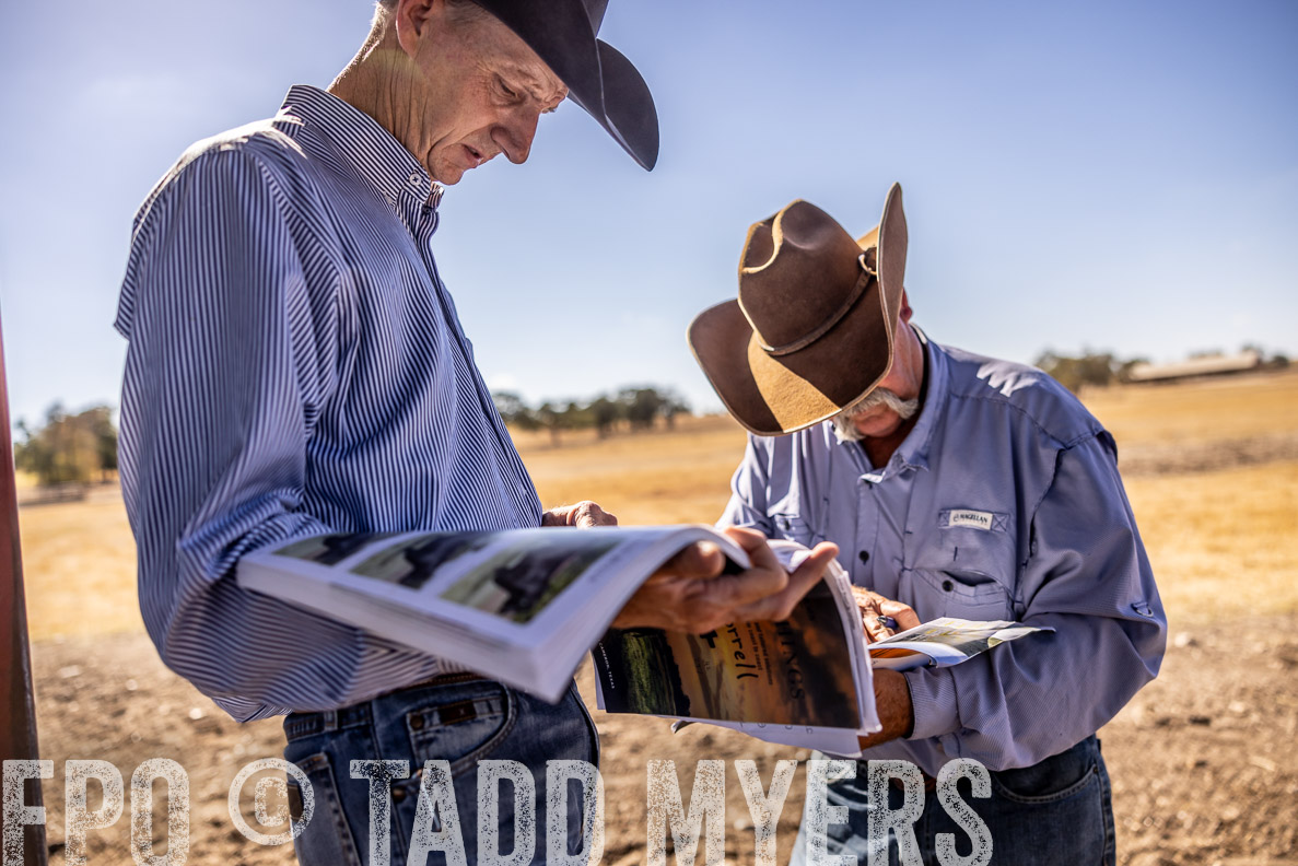 TMyers_FallBullSale_CameronTX_Oct_2024-519757