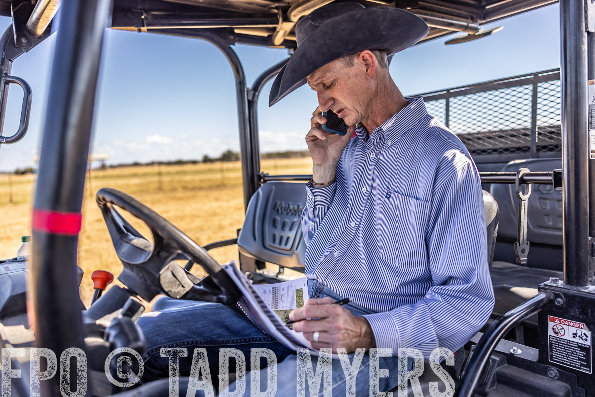 TMyers_FallBullSale_CameronTX_Oct_2024-519932