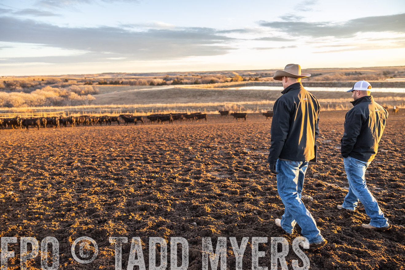 TMyers_PP_LazyJRanch_BurkeSD_Nov2024-513384