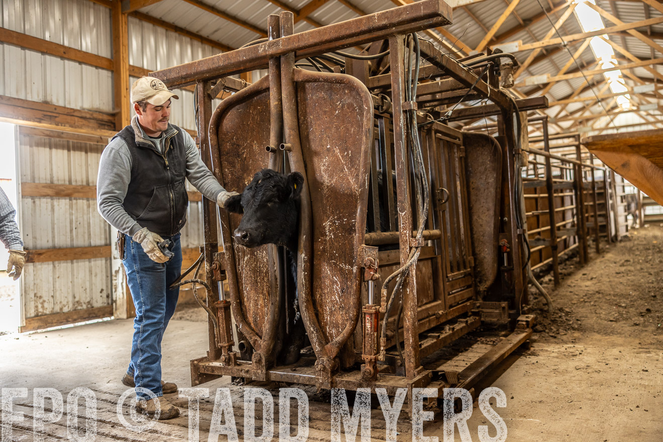 TMyers_PP_LazyJRanch_BurkeSD_Nov2024-514374