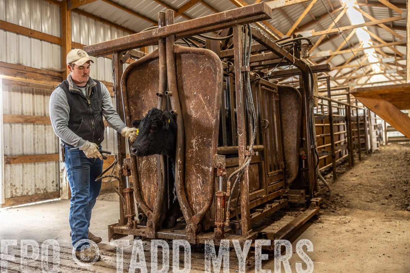 TMyers_PP_LazyJRanch_BurkeSD_Nov2024-514375