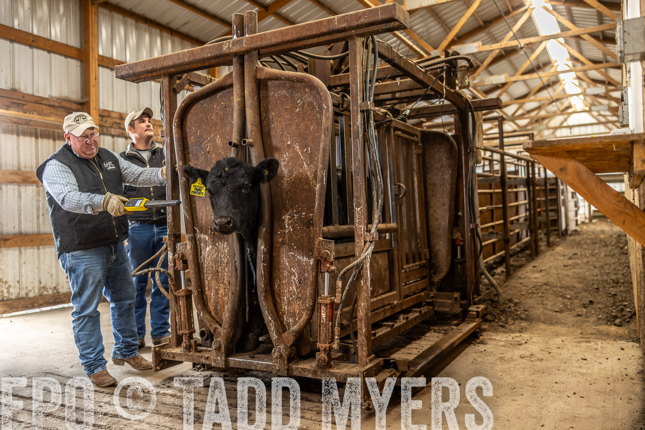 TMyers_PP_LazyJRanch_BurkeSD_Nov2024-514386