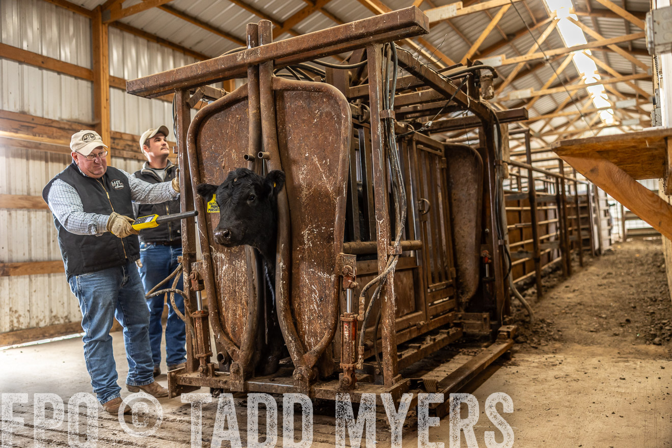 TMyers_PP_LazyJRanch_BurkeSD_Nov2024-514391