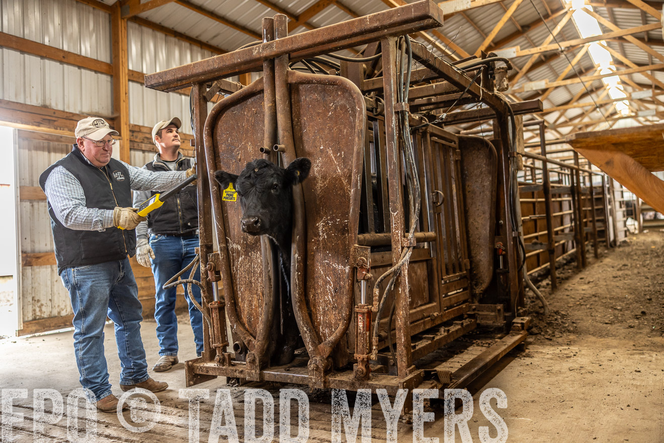 TMyers_PP_LazyJRanch_BurkeSD_Nov2024-514398