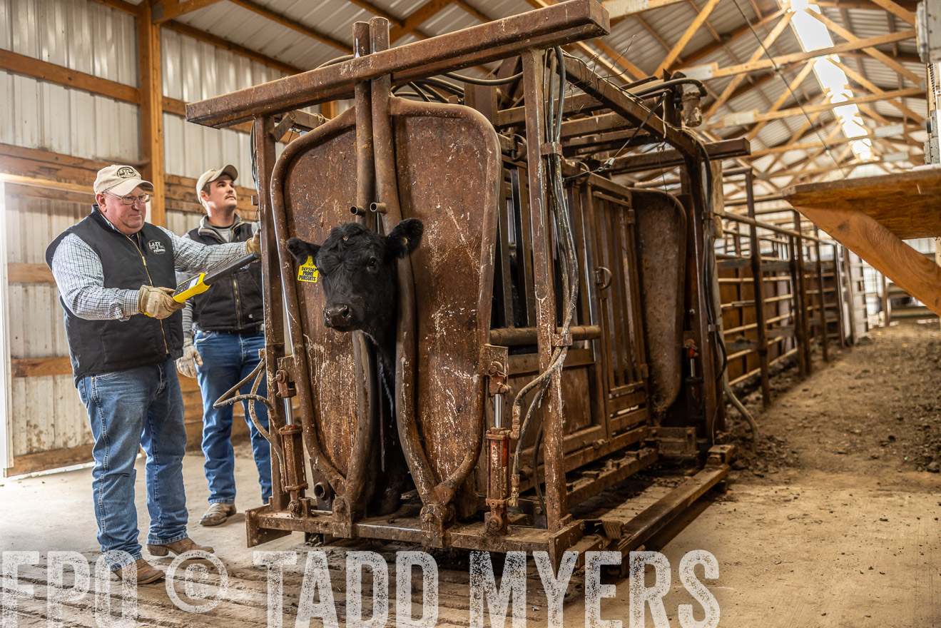 TMyers_PP_LazyJRanch_BurkeSD_Nov2024-514399