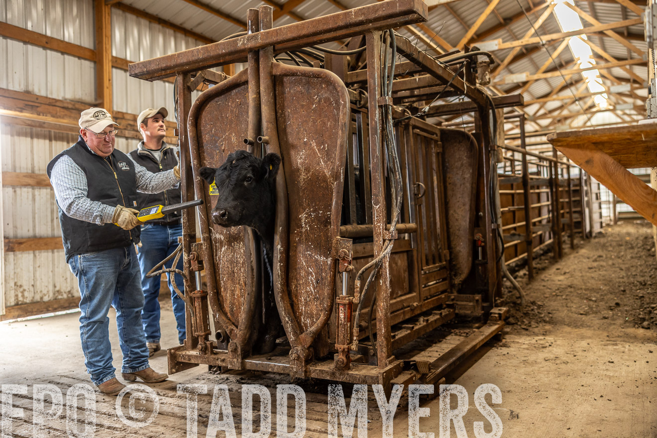 TMyers_PP_LazyJRanch_BurkeSD_Nov2024-514402