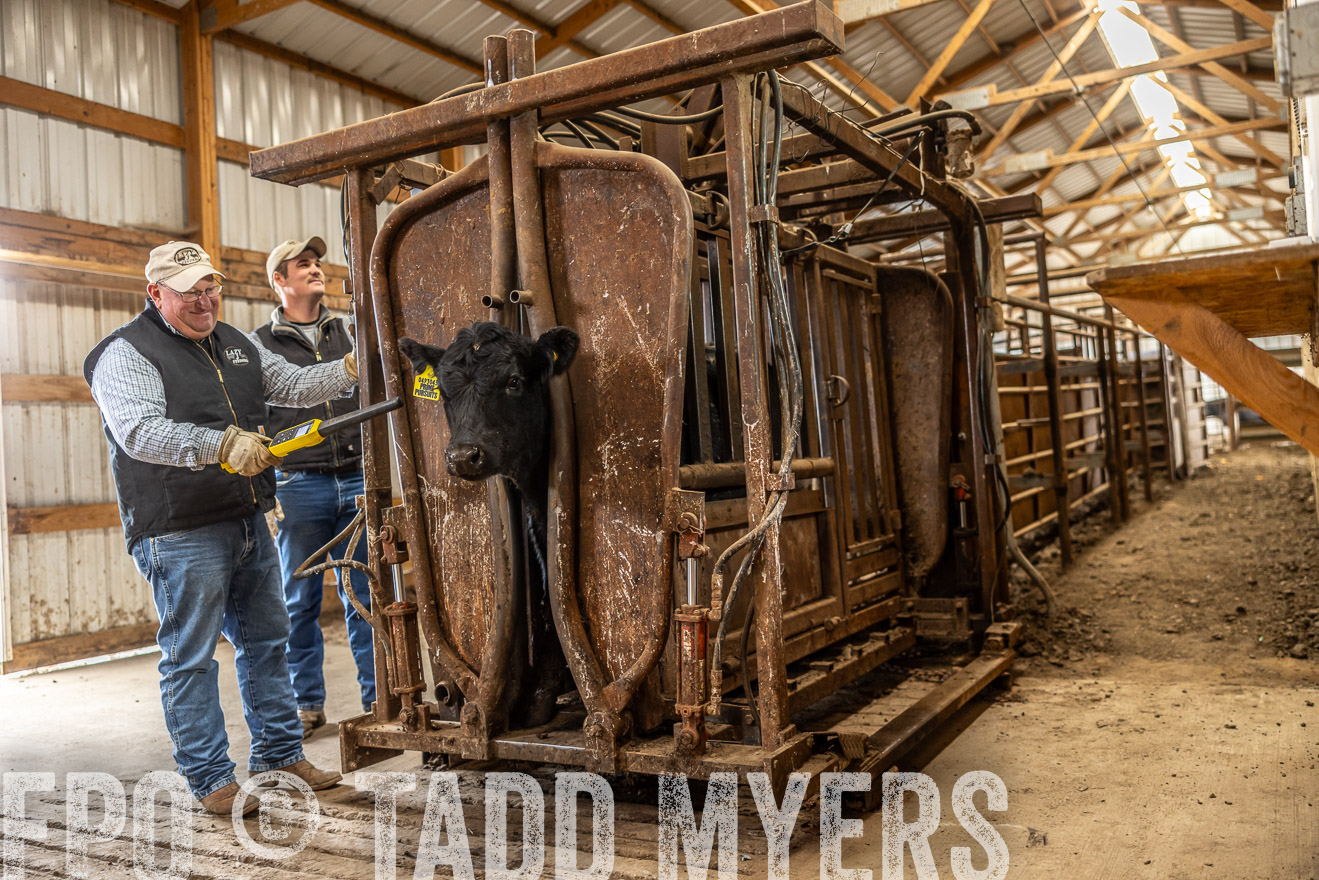 TMyers_PP_LazyJRanch_BurkeSD_Nov2024-514406