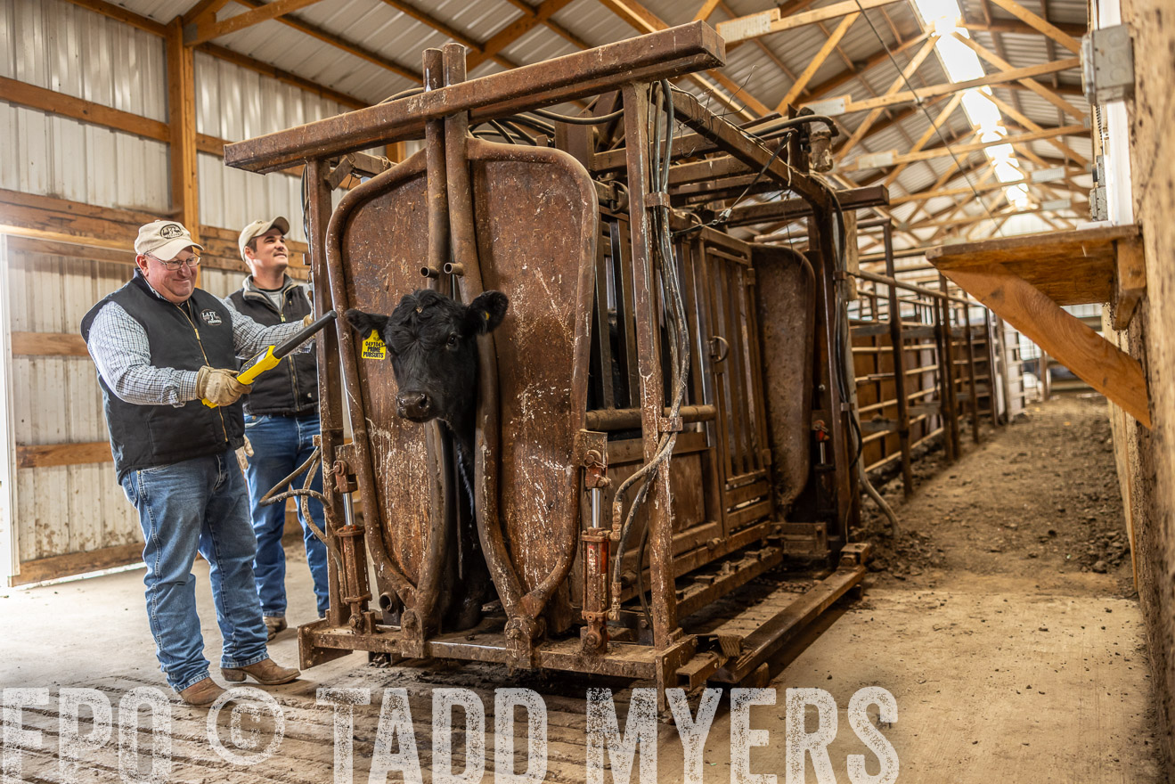 TMyers_PP_LazyJRanch_BurkeSD_Nov2024-514407